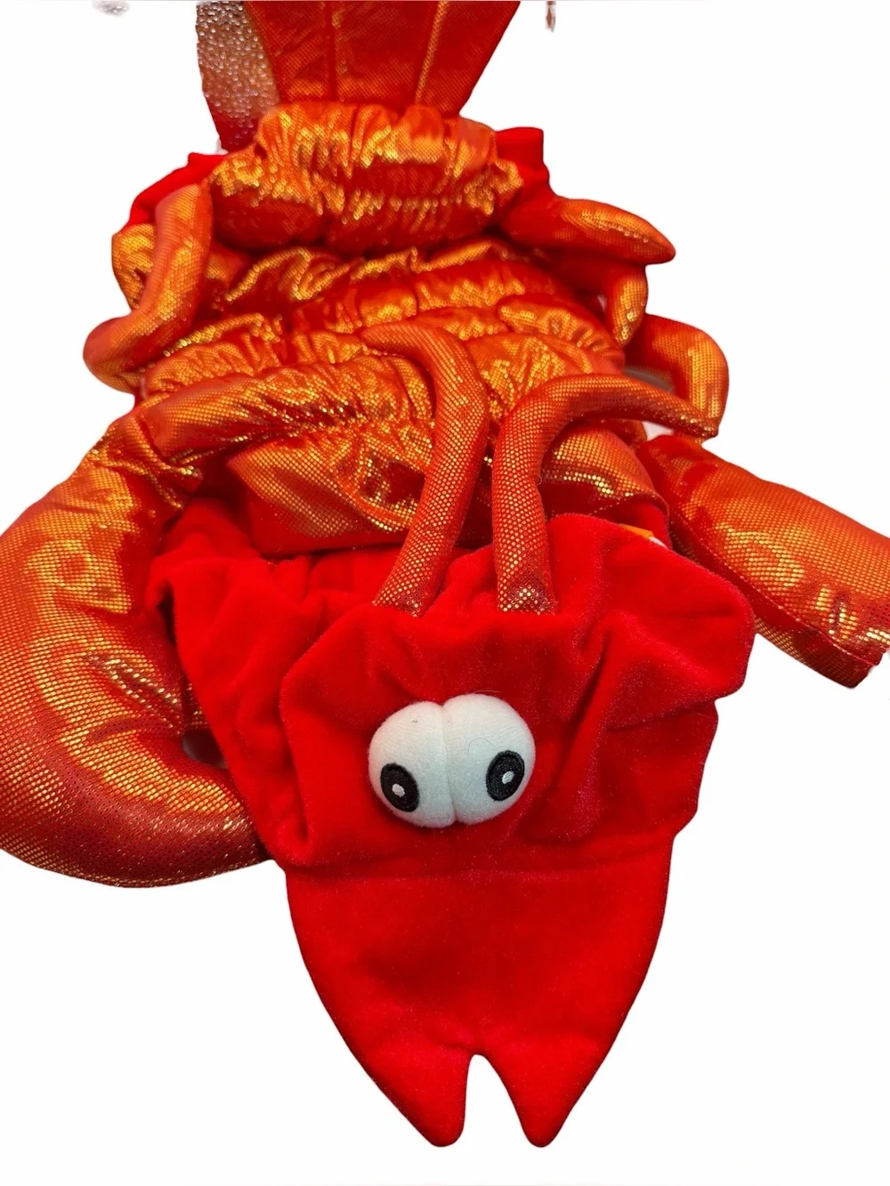 Thrills & Chills Lobster Pet Costume